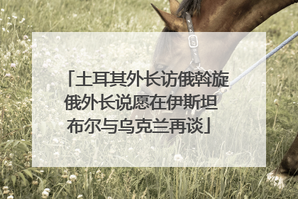 土耳其外长访俄斡旋 俄外长说愿在伊斯坦布尔与乌克兰再谈