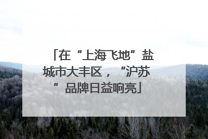 在“上海飞地”盐城市大丰区，“沪苏”品牌日益响亮