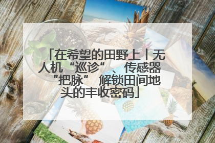 在希望的田野上丨无人机“巡诊”、传感器“把脉” 解锁田间地头的丰收密码