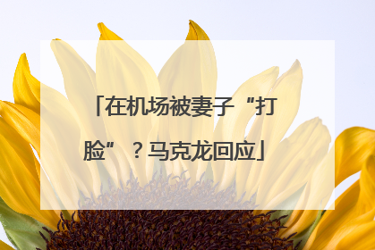 在机场被妻子“打脸”？马克龙回应