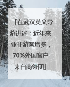 在武汉英文导游讲述：近年来亚非游客增多，70%外国客户来自商务团