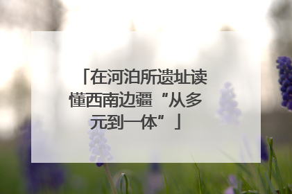 在河泊所遗址读懂西南边疆“从多元到一体”