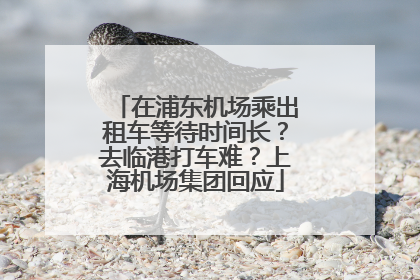 在浦东机场乘出租车等待时间长？去临港打车难？上海机场集团回应