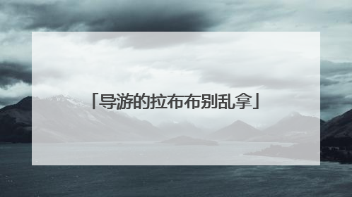 导游的拉布布别乱拿