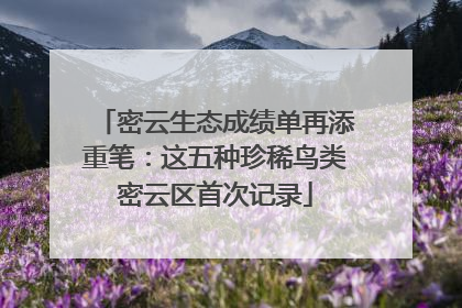 密云生态成绩单再添重笔：这五种珍稀鸟类密云区首次记录
