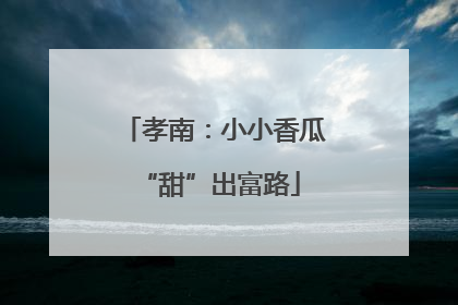 孝南：小小香瓜 “甜”出富路