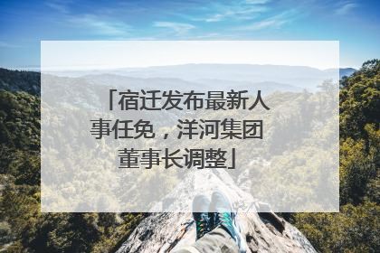 宿迁发布最新人事任免，洋河集团董事长调整