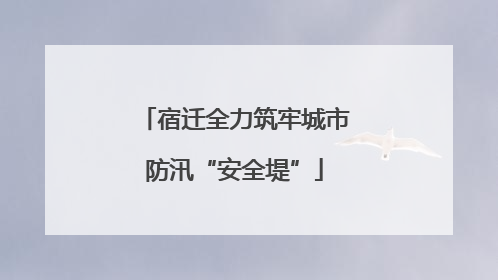 宿迁全力筑牢城市防汛“安全堤”