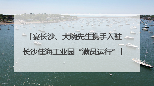 宴长沙、大碗先生携手入驻 长沙佳海工业园“满员运行”