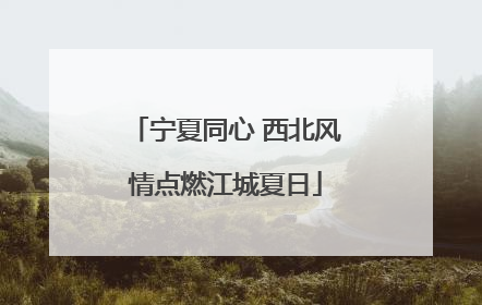 宁夏同心 西北风情点燃江城夏日