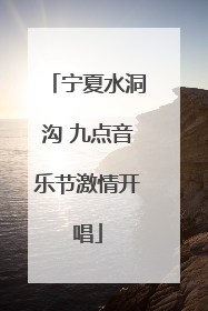 宁夏水洞沟 九点音乐节激情开唱