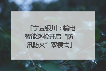 宁夏银川：输电智能巡检开启“防汛防火”双模式