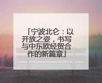 宁波北仑：以开放之姿，书写与中东欧经贸合作的新篇章