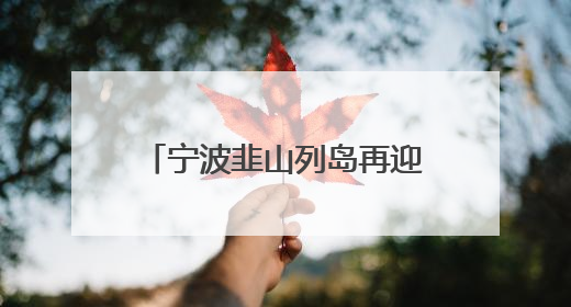 宁波韭山列岛再迎中华凤头燕鸥，24对“酷鸥”喜结连理迎接新生命