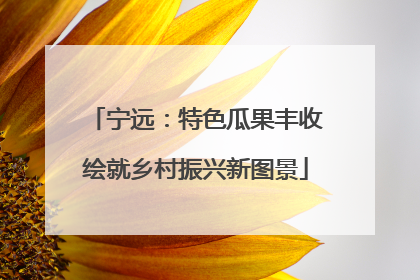 宁远：特色瓜果丰收绘就乡村振兴新图景