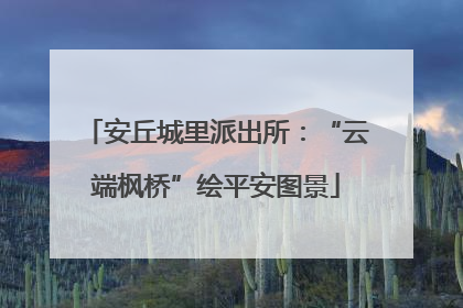 安丘城里派出所：“云端枫桥”绘平安图景