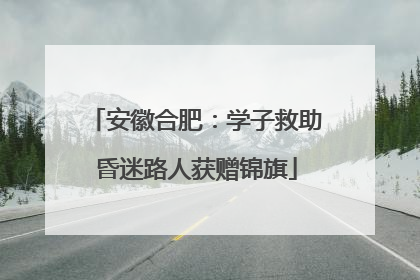 安徽合肥：学子救助昏迷路人获赠锦旗