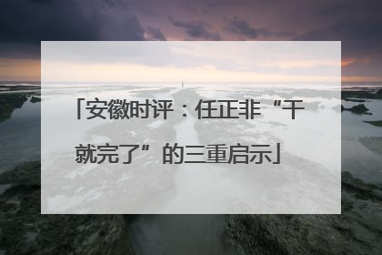 安徽时评：任正非“干就完了”的三重启示