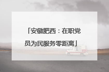 安徽肥西：在职党员为民服务零距离