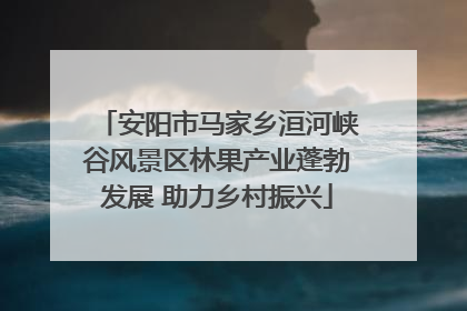安阳市马家乡洹河峡谷风景区林果产业蓬勃发展 助力乡村振兴