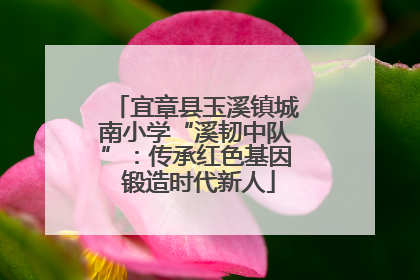宜章县玉溪镇城南小学“溪韧中队”：传承红色基因 锻造时代新人