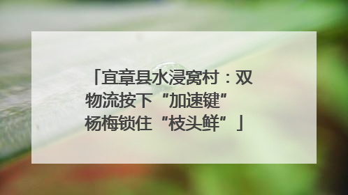 宜章县水浸窝村：双物流按下“加速键” 杨梅锁住“枝头鲜”