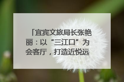 宜宾文旅局长张艳丽：以“三江口”为会客厅，打造近悦远来的国际旅游城市｜文旅局长说