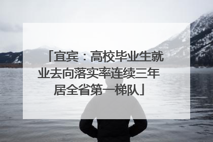 宜宾：高校毕业生就业去向落实率连续三年居全省第一梯队