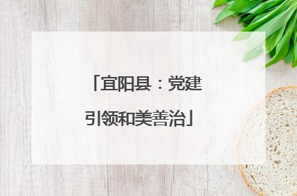 宜阳县：党建引领和美善治
