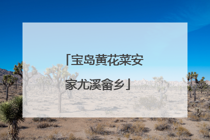 宝岛黄花菜安家尤溪畲乡