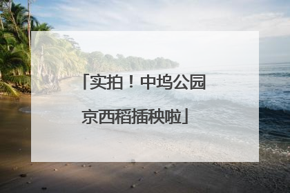 实拍！中坞公园京西稻插秧啦