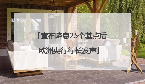 宣布降息25个基点后 欧洲央行行长发声