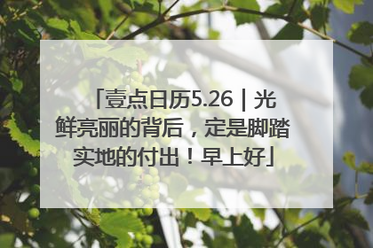 壹点日历5.26｜光鲜亮丽的背后，定是脚踏实地的付出！早上好