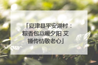 夏津县平安湖村：粽香包意暖夕阳 艾锤传情敬老心