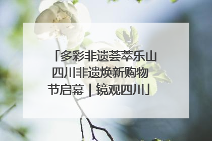 多彩非遗荟萃乐山 四川非遗焕新购物节启幕｜镜观四川