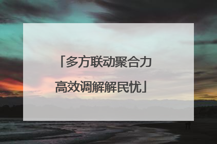 多方联动聚合力 高效调解解民忧