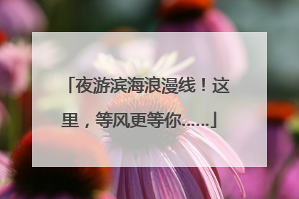 夜游滨海浪漫线！这里，等风更等你……