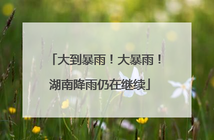 大到暴雨！大暴雨！湖南降雨仍在继续