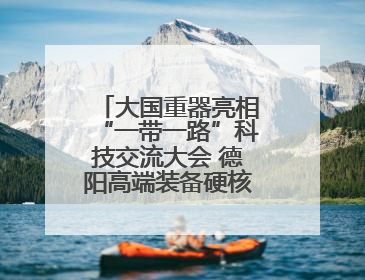 大国重器亮相“一带一路”科技交流大会 德阳高端装备硬核成果彰显实力
