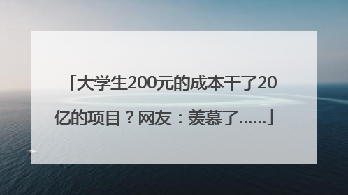 大学生200元的成本干了20亿的项目？网友：羡慕了……