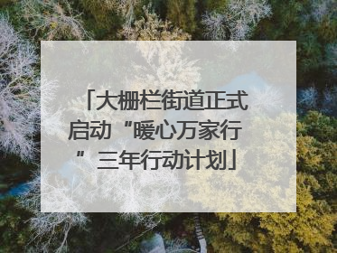 大栅栏街道正式启动“暖心万家行”三年行动计划