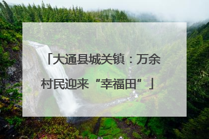 大通县城关镇：万余村民迎来“幸福田”