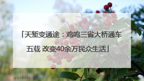 天堑变通途：鸡鸣三省大桥通车五载 改变40余万民众生活