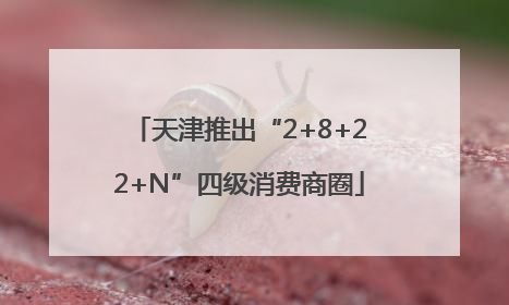 天津推出“2+8+22+N”四级消费商圈
