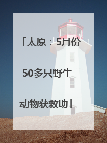 太原：5月份 50多只野生动物获救助
