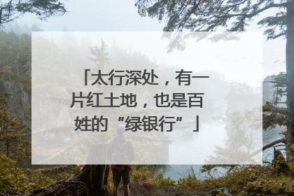 太行深处，有一片红土地，也是百姓的“绿银行”