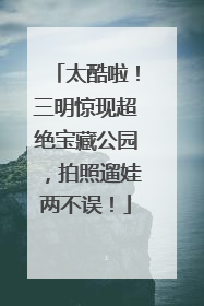 太酷啦！三明惊现超绝宝藏公园，拍照遛娃两不误！