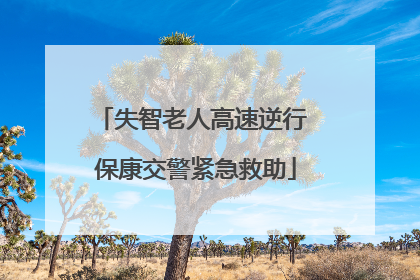 失智老人高速逆行 保康交警紧急救助