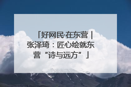 好网民·在东营｜张泽琦：匠心绘就东营“诗与远方”