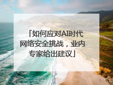 如何应对AI时代网络安全挑战，业内专家给出建议